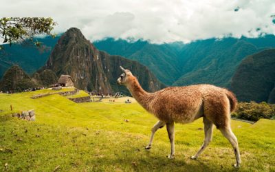 Peru – země Inků