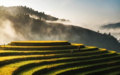 Vietnam – krajina rýžových polí